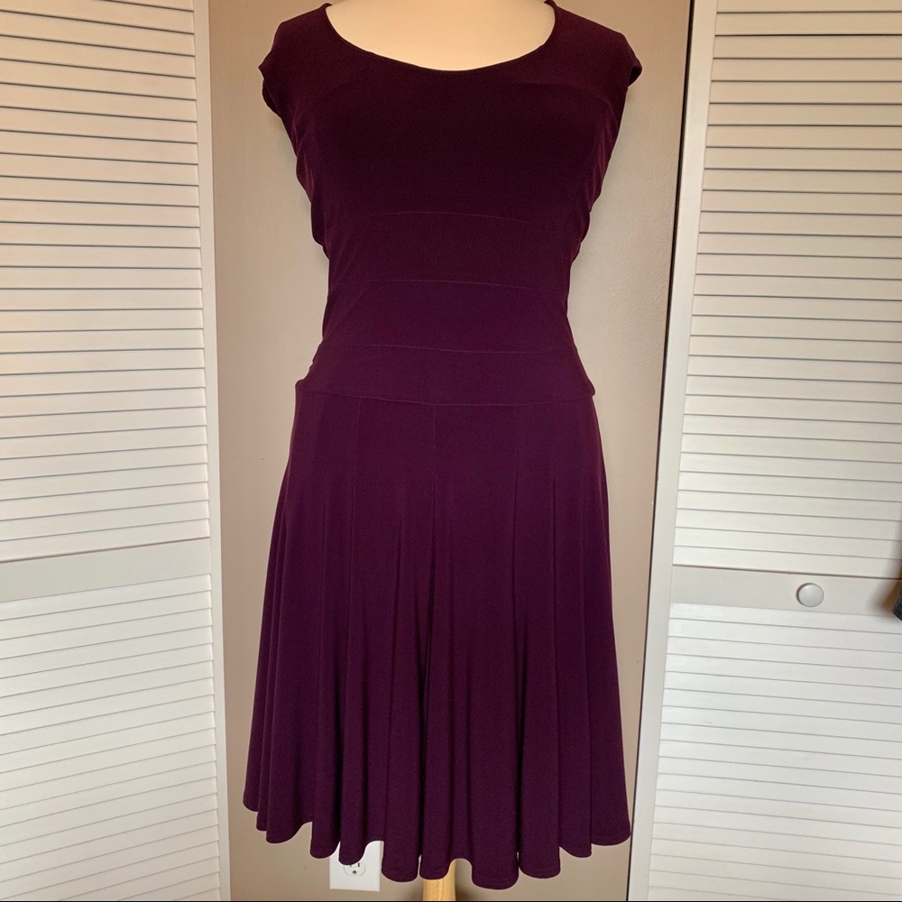 Lauren Ralph Lauren Fit n Flare Dress